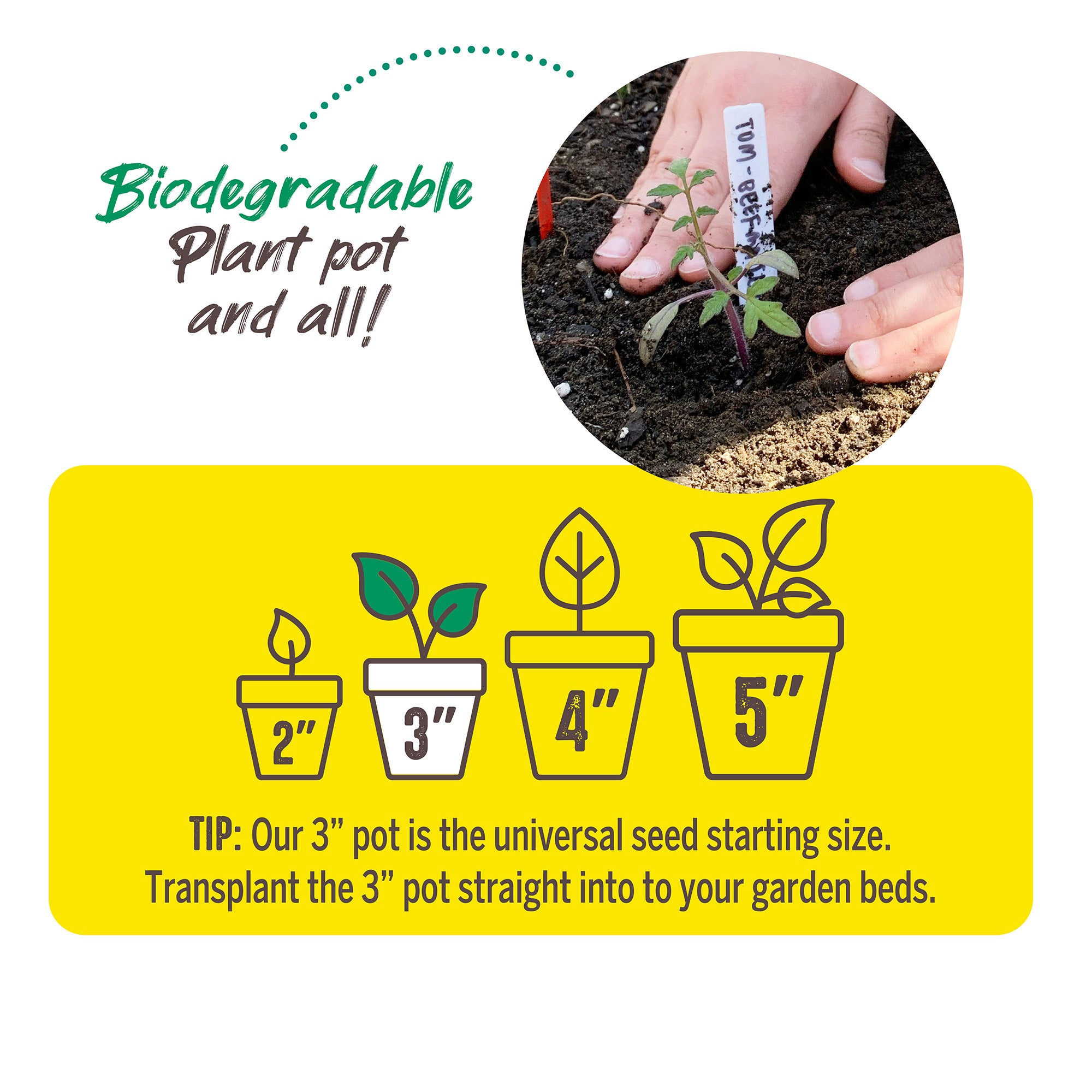 3 inch Jiffy biodegradable peat pots call out
